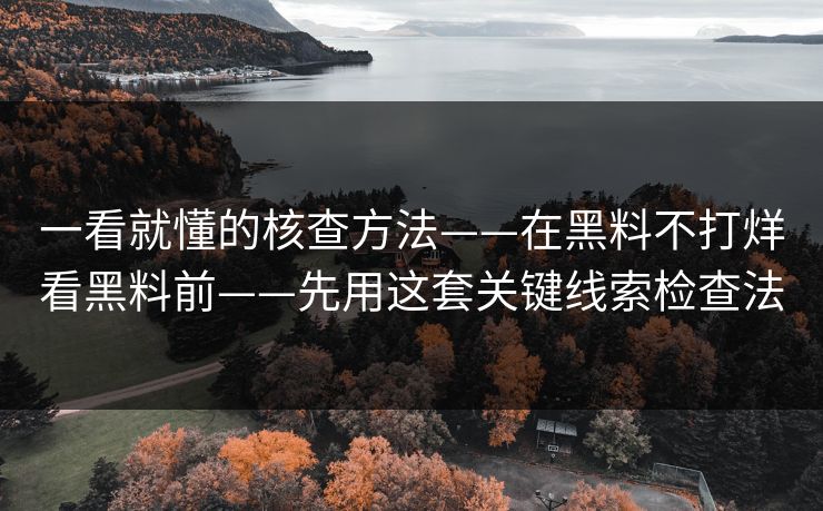 一看就懂的核查方法——在黑料不打烊看黑料前——先用这套关键线索检查法