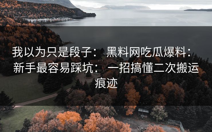 我以为只是段子： 黑料网吃瓜爆料： 新手最容易踩坑： 一招搞懂二次搬运痕迹