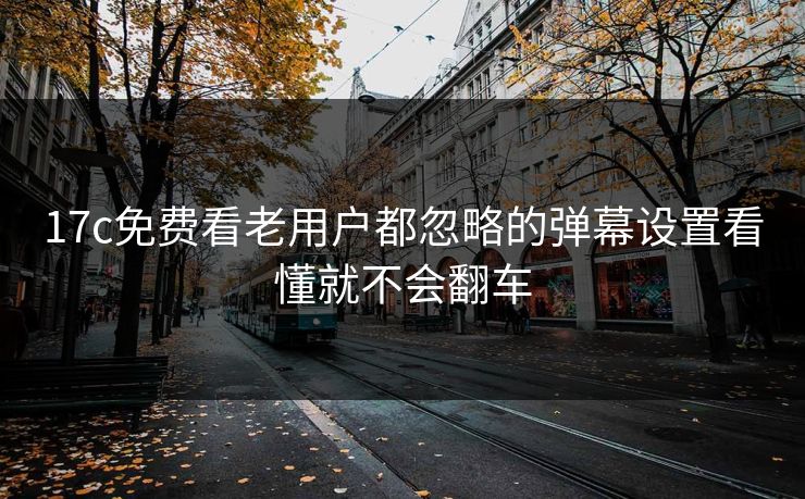 17c免费看老用户都忽略的弹幕设置看懂就不会翻车