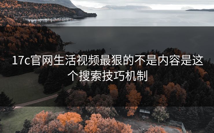 17c官网生活视频最狠的不是内容是这个搜索技巧机制
