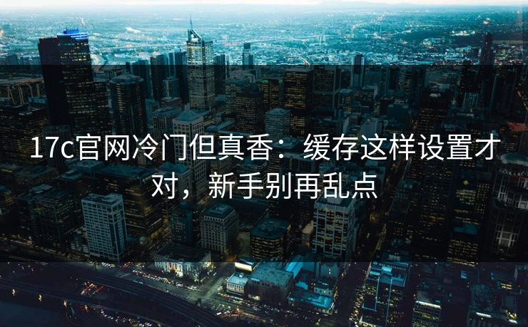 17c官网冷门但真香：缓存这样设置才对，新手别再乱点
