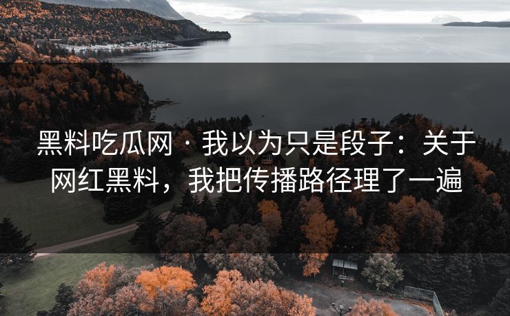 黑料吃瓜网 · 我以为只是段子：关于网红黑料，我把传播路径理了一遍