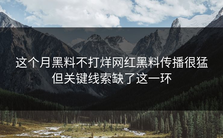 这个月黑料不打烊网红黑料传播很猛但关键线索缺了这一环